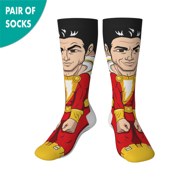 Crossover DC Comics Justice League Shazam Animated Series DCEU Snyderverse Crossover Collectible Character Socks Sox